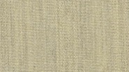 1074 Trigo