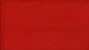 1473 Generation Red
