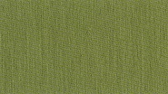 1537 Green Cactus
