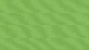 1542 Green Anis
