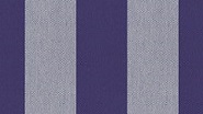 2020 Azul X R