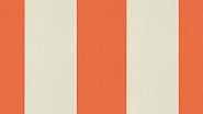 2052 Naranja N R