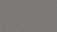 2102 Gris