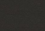 2170 Negro