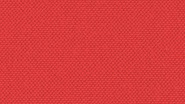 rouge red rojo vermell rot vermillon RAL3020