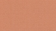 2221 Salmon