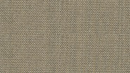 2838 Integral