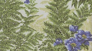 4003 Brasil1/Verde (120)