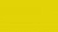 6655 Limon