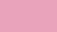 6661 Rosa