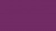 6662 Fucsia