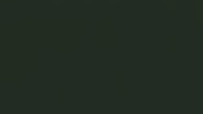 6669 Musgo