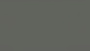 6671 Gris Oscuro