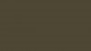 6679 Coyote