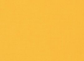 jaune groc amarillo yellow gelb RAL1003