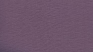 8449 T Grape