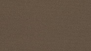 Orchestra Cacao 8776