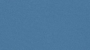 Orchestra Bleuet 8204