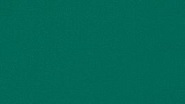 Orchestra Vert 0003