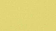 Orchestra Citron 7703