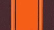 Orchestra Goldies Chantilly Orange 0744