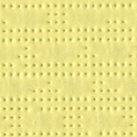 96-50846 Citrus