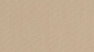 MAX Dune 0681