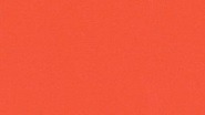MAX Tangerine U767