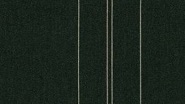 Orchestra Halo Olive D541