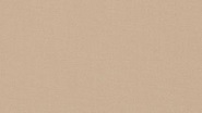 Orchestra Beige 8902